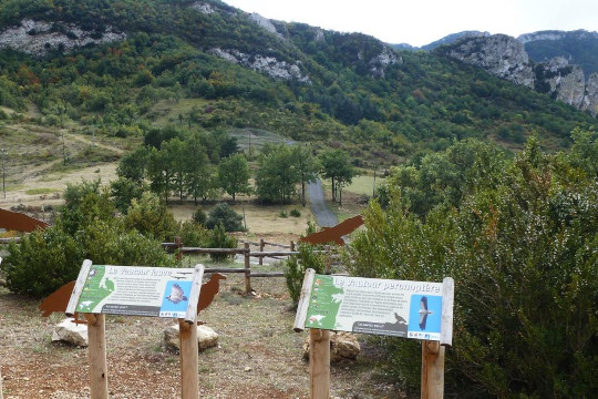 observatoire des vautours